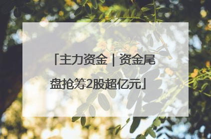 主力资金｜资金尾盘抢筹2股超亿元