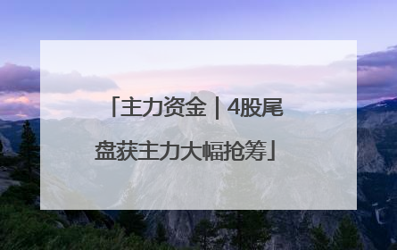 主力资金｜4股尾盘获主力大幅抢筹