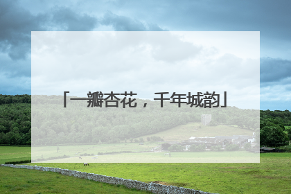 一瓣杏花，千年城韵