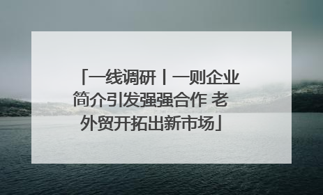 一线调研丨一则企业简介引发强强合作 老外贸开拓出新市场