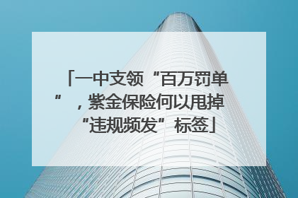 一中支领“百万罚单”，紫金保险何以甩掉“违规频发”标签