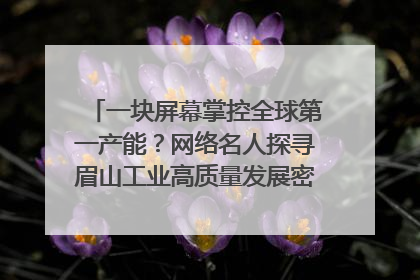 一块屏幕掌控全球第一产能？网络名人探寻眉山工业高质量发展密码｜网络名人四川行