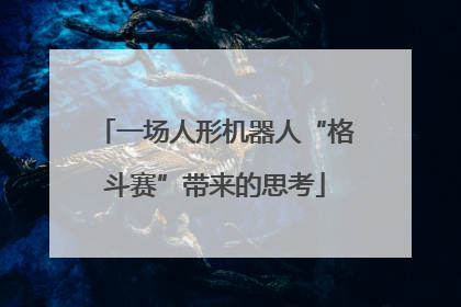 一场人形机器人“格斗赛”带来的思考