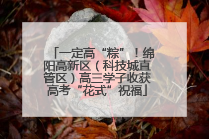 一定高“粽”！绵阳高新区（科技城直管区）高三学子收获高考“花式”祝福