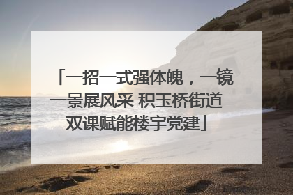 一招一式强体魄，一镜一景展风采 积玉桥街道双课赋能楼宇党建