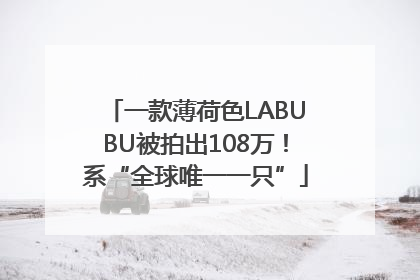 一款薄荷色LABUBU被拍出108万！系“全球唯一一只”