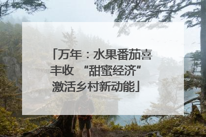 万年：水果番茄喜丰收 “甜蜜经济”激活乡村新动能
