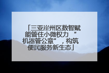 三亚崖州区数智赋能管住小微权力 “机器管公章”，构筑便民服务新生态