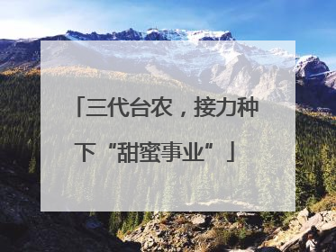 三代台农，接力种下“甜蜜事业”