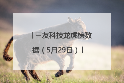 三友科技龙虎榜数据（5月29日）
