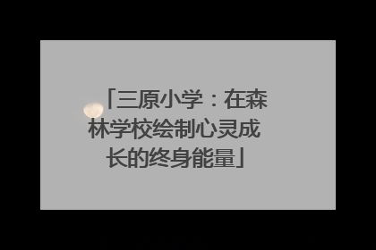 三原小学：在森林学校绘制心灵成长的终身能量