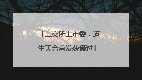 上交所上市委：道生天合首发获通过