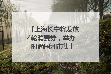 上海长宁将发放4轮消费券，举办时尚国潮市集