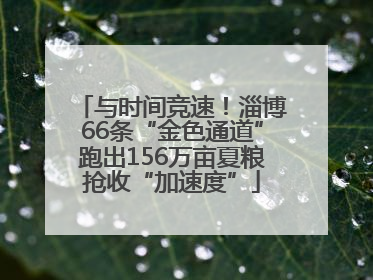 与时间竞速！淄博66条“金色通道”跑出156万亩夏粮抢收“加速度”