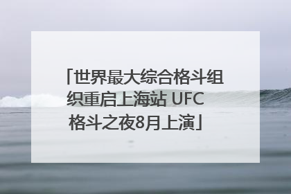 世界最大综合格斗组织重启上海站 UFC格斗之夜8月上演