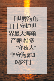 世界海龟日丨守护世界最大海龟产卵 特多“守夜人”坚守海滩30多年