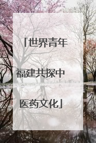 世界青年福建共探中医药文化
