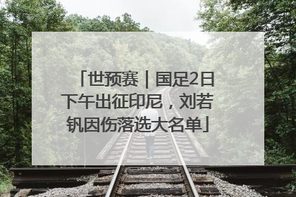 世预赛｜国足2日下午出征印尼，刘若钒因伤落选大名单