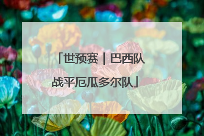 世预赛｜巴西队战平厄瓜多尔队