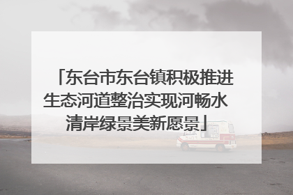 东台市东台镇积极推进生态河道整治实现河畅水清岸绿景美新愿景