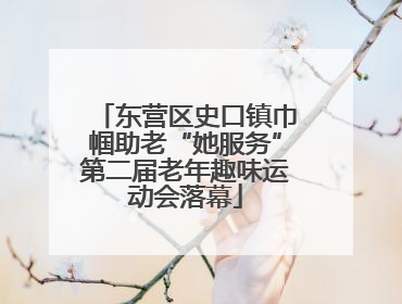 东营区史口镇巾帼助老“她服务”第二届老年趣味运动会落幕