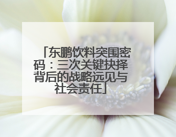 东鹏饮料突围密码：三次关键抉择背后的战略远见与社会责任