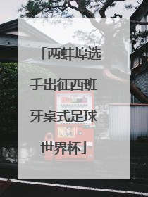 两蚌埠选手出征西班牙桌式足球世界杯