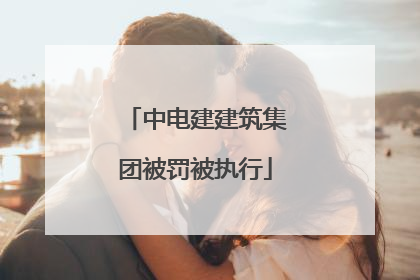 中电建建筑集团被罚被执行