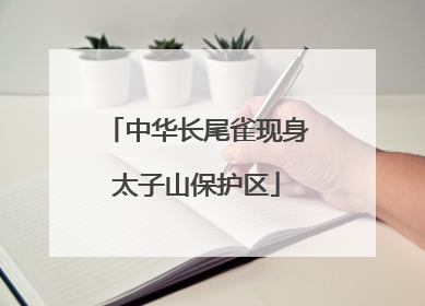 中华长尾雀现身太子山保护区