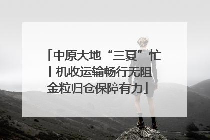 中原大地“三夏”忙丨机收运输畅行无阻 金粒归仓保障有力
