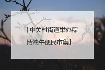 中关村街道举办粽情端午便民市集