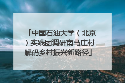 中国石油大学（北京）实践团调研南马庄村解码乡村振兴新路径