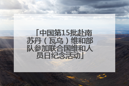 中国第15批赴南苏丹（瓦乌）维和部队参加联合国维和人员日纪念活动