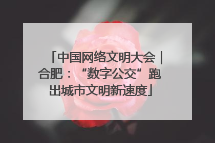中国网络文明大会｜合肥：“数字公交”跑出城市文明新速度