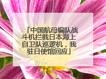 中国航母编队战斗机拦截日本海上自卫队巡逻机，我驻日使馆回应