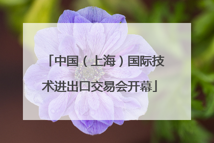 中国（上海）国际技术进出口交易会开幕