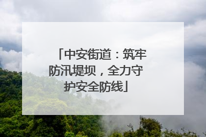 中安街道：筑牢防汛堤坝，全力守护安全防线