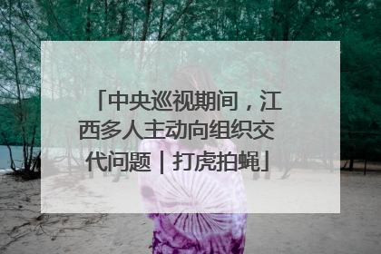 中央巡视期间，江西多人主动向组织交代问题｜打虎拍蝇