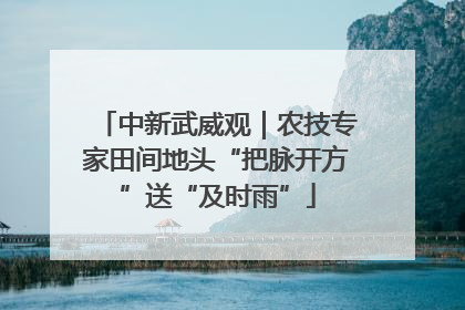 中新武威观｜农技专家田间地头“把脉开方”送“及时雨”