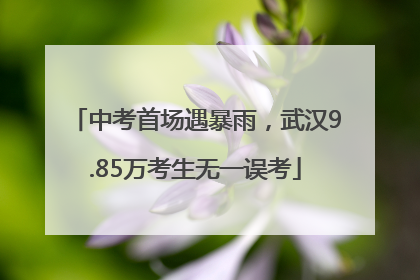 中考首场遇暴雨，武汉9.85万考生无一误考