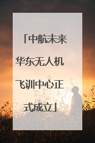 中航未来华东无人机飞训中心正式成立