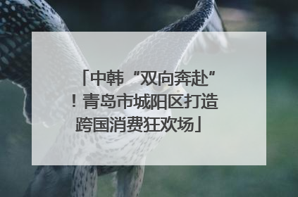 中韩“双向奔赴”！青岛市城阳区打造跨国消费狂欢场