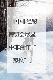 中非经贸博览会尽显中非合作“热度”