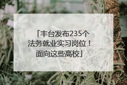 丰台发布235个法务就业实习岗位！面向这些高校