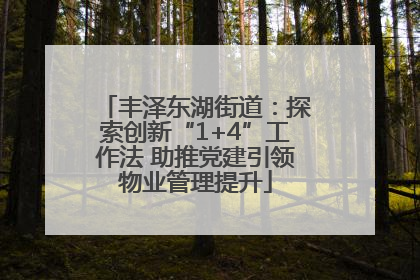 丰泽东湖街道：探索创新“1+4”工作法 助推党建引领物业管理提升