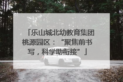 乐山城北幼教育集团桃源园区：“聚焦前书写，科学助衔接”