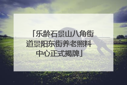 乐龄石景山八角街道景阳东街养老照料中心正式揭牌