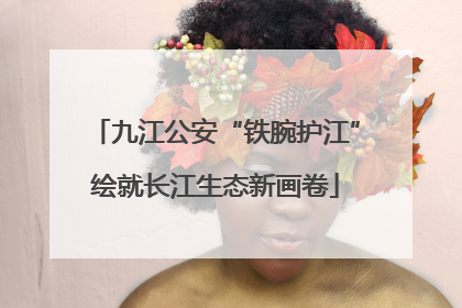 九江公安“铁腕护江”绘就长江生态新画卷