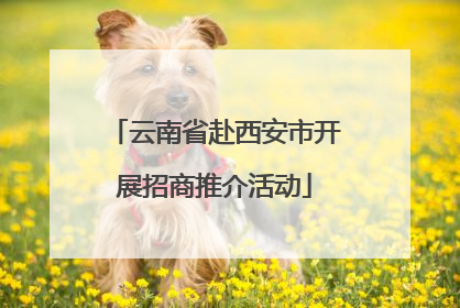 云南省赴西安市开展招商推介活动