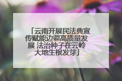 云南开展民法典宣传赋能边疆高质量发展 法治种子在云岭大地生根发芽